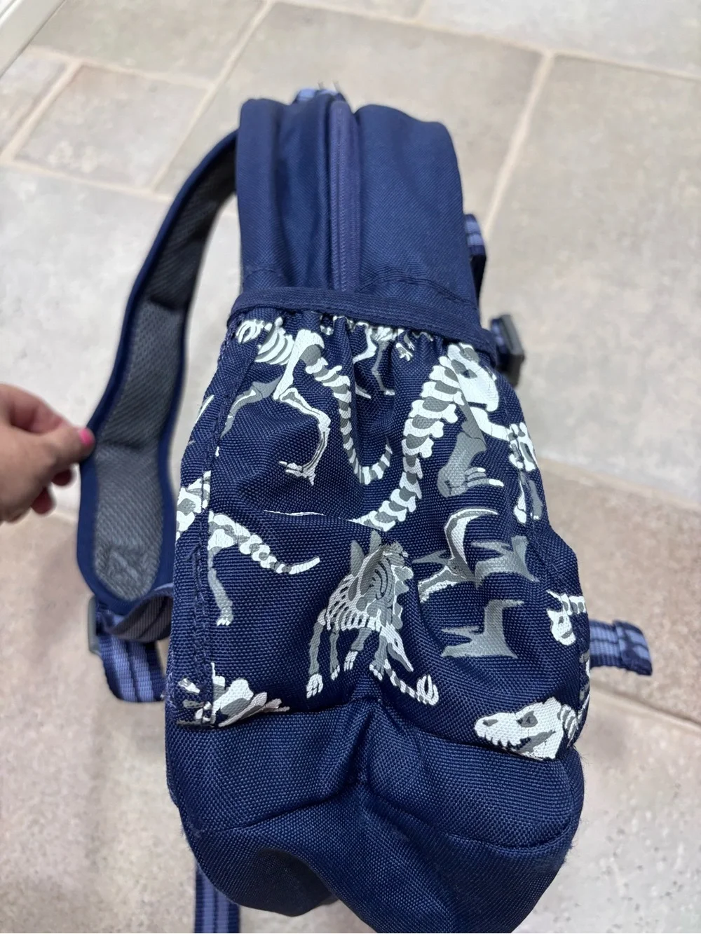 Pottery Barn Kids Mackenzie Dino Bones Backpack Blue